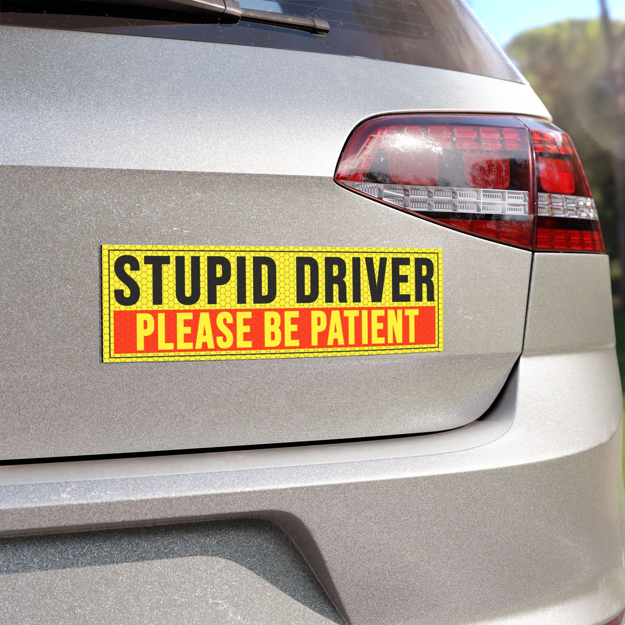 Stupid Driver